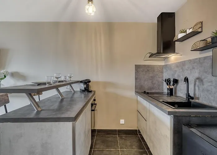 Le Cocon Appartement Thonon-les-Bains
